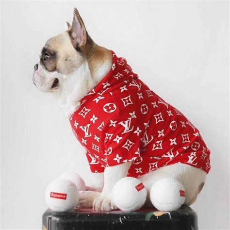 louis vuitton dog wardrobe.